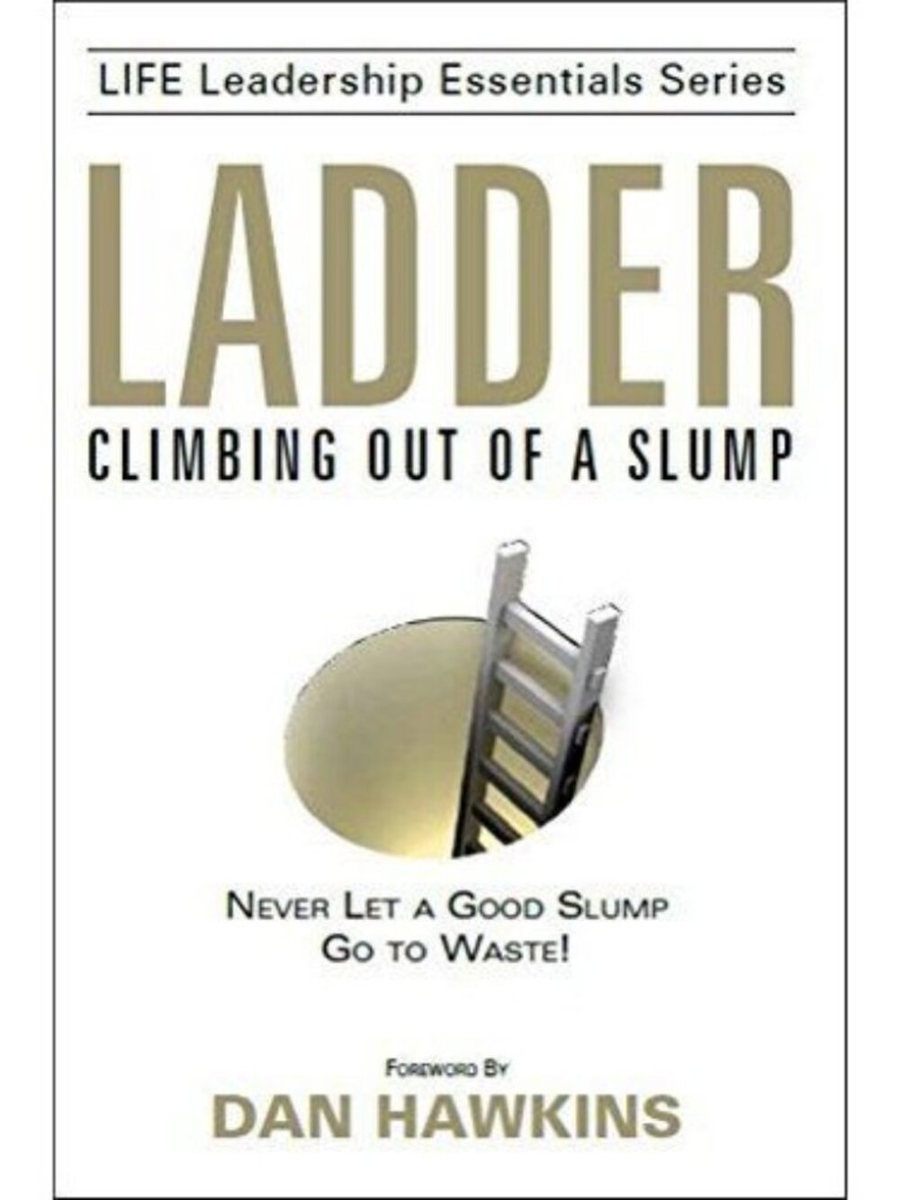Ladder: Climbing Out Of A Slump Dan Hawkins 2015 Paperback Leadership/Business P
